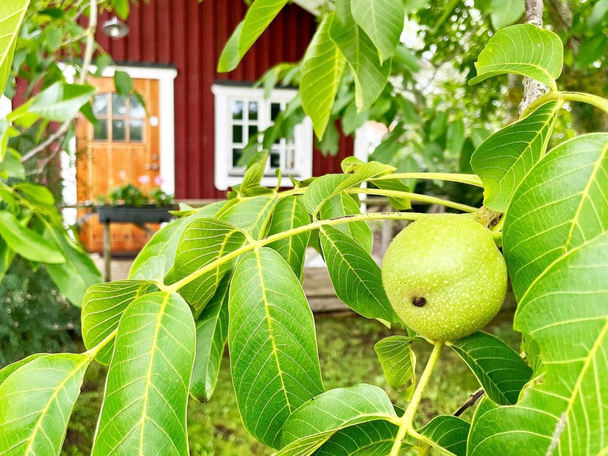 Holiday Home Malaretorpsvaegen Borgholm Esterno foto